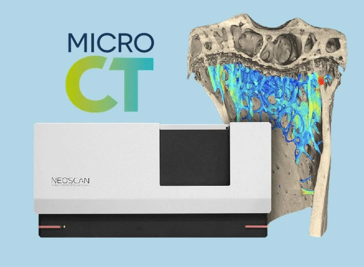 MicroCT – rentgenová mikrotomografie